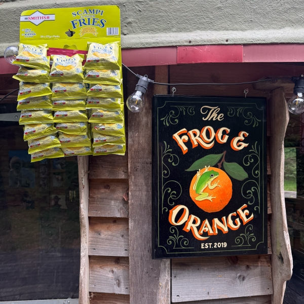 The Frog and Orange 